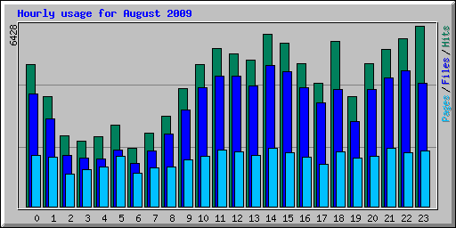 Hourly usage for August 2009