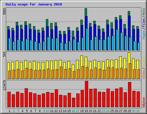 Daily usage for January 2010