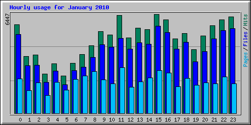 Hourly usage for January 2010